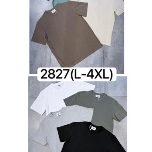 Футболка LiOpt (L-4XL) 2827 l.grey (лето) LiOpt 2827 l.grey