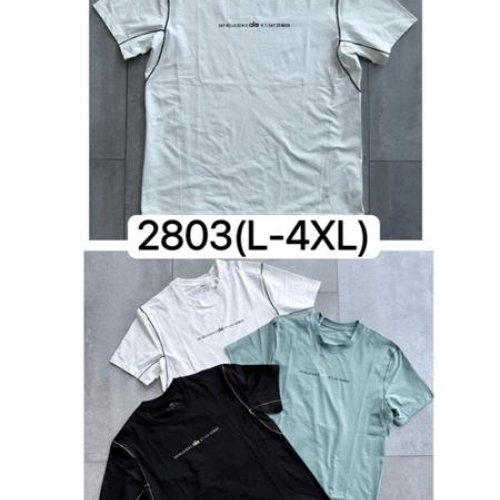 Футболка LiOpt (L-4XL) 2803 white (лето) LiOpt 2803 white