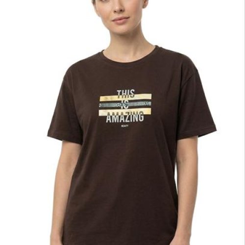 Футболка FSN (46-52) 6533 brown (лето) FSN 6533 brown