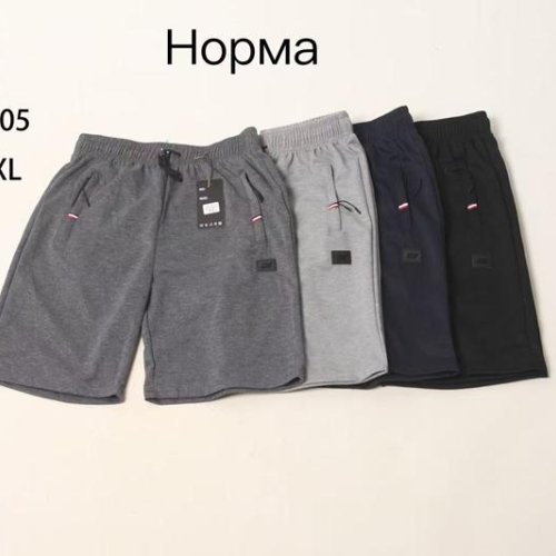 Шорты Anion (M-3XL) WK5005 navy (лето) Anion WK5005 navy