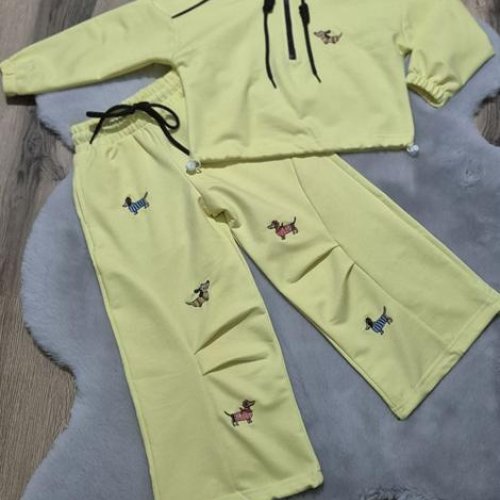 Костюм спорт Limerense (104-134) DD166 yellow (деми) Limerense DD166 yellow