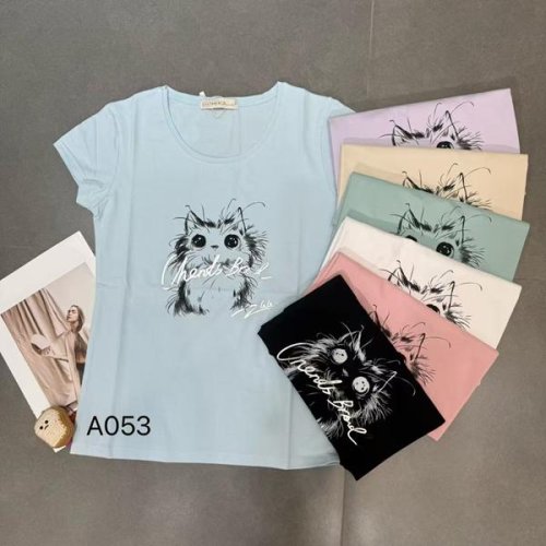 Футболка Шаолинь (44-48) A053 mix (лето) Шаолинь A053 mix