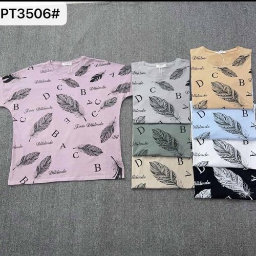 Футболка Шаолинь (56-66) PT3506 mix (лето) Шаолинь PT3506 mix