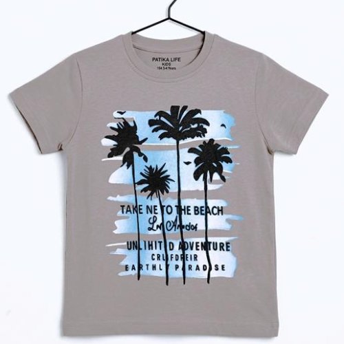 Футболка Dino (4-8) DN567 grey (лето) Dino DN567 grey