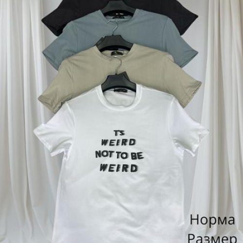 Футболка Hai (48-56) H1446 beige (лето) Hai H1446 beige