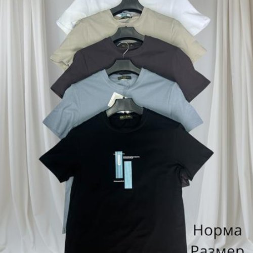 Футболка Hai (48-56) H1450 l.grey (лето) Hai H1450 l.grey