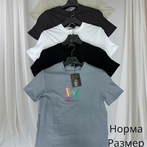 Футболка Hai (48-56) H1468 white (лето) Hai H1468 white
