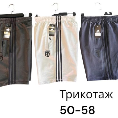 Шорты Phi Hung (50-58) P548 l.grey (лето) Phi Hung P548 l.grey