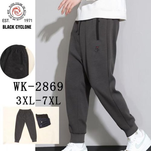 Штаны спорт Giang (3XL-7XL) WK2869 grey (деми) Giang WK2869 grey