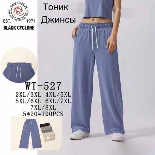 Штаны Giang (2XL-8XL) WT527 mix (деми) Giang WT527 mix