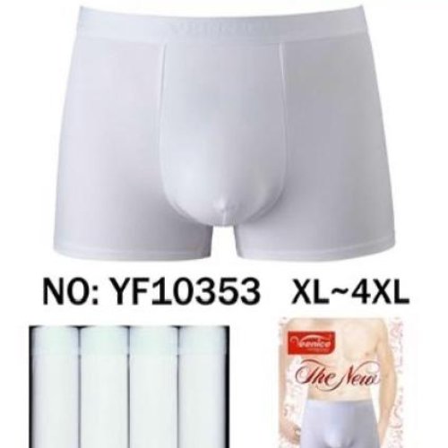 Трусы Redoor (XL-4XL) YF10352 white (лето) Redoor YF10352 white