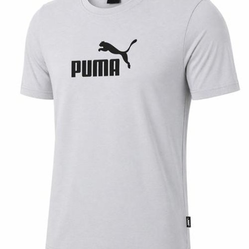 Футболка Alex Clothes (S-2XL) 14305 l.grey (лето) Alex Clothes 14305 l.grey