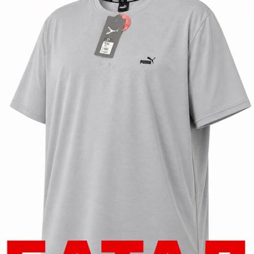 Футболка Alex Clothes (2XL-6XL) 14342 grey (лето) Alex Clothes 14342 grey