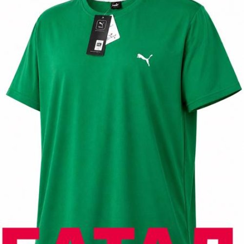Футболка Alex Clothes (2XL-6XL) 14355 green (лето) Alex Clothes 14355 green