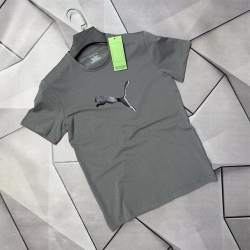 Футболка Rassul (S-2XL) 67057 grey (лето) Rassul 67057 grey