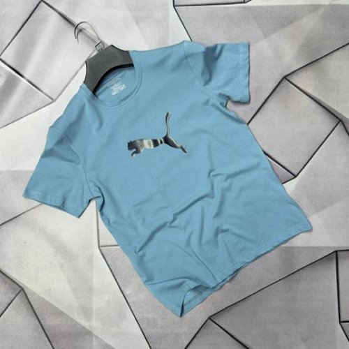 Футболка Rassul (S-2XL) 67061 l.blue (лето) Rassul 67061 l.blue