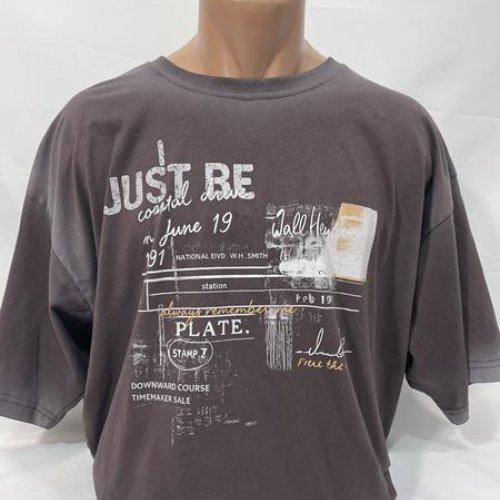 Футболка Sabihina (S-2XL) SB2013 brown (лето) Sabihina SB2013 brown