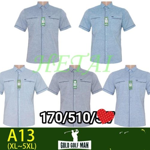 Рубашка Anion (XL-5XL) A13 mix (лето) Anion A13 mix