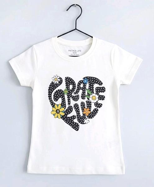 Футболка Dino (4-8) DN533 milk (лето)