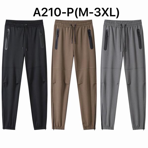 Штаны спорт Ale-Ate (M-3XL) A210P grey (деми)
