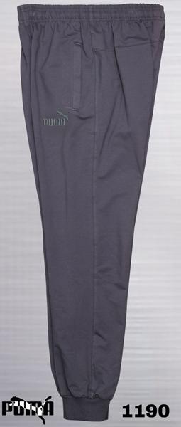 Штаны спорт AZT (S-2XL) AZ383-1190 grey (деми)