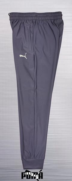 Штаны спорт AZT (M-3XL) AZ398 grey (деми)
