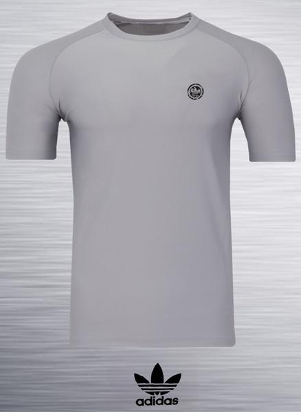 Футболка AZT (S-2XL) AZ422-5449 l.grey (лето)