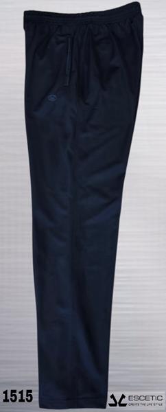 Штаны спорт AZT (54-62) AZ490-1515 navy (деми)