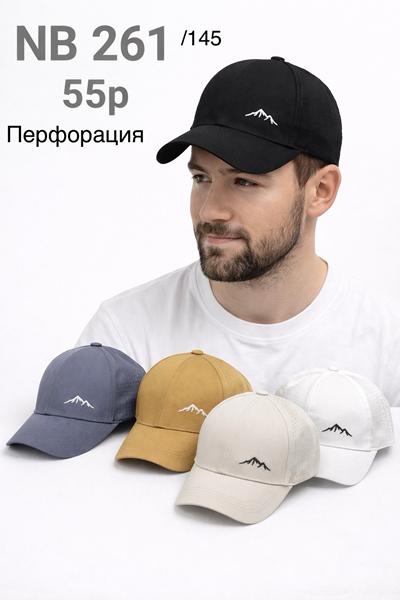 Кепка DGMD (55) NB261-145 mix (лето)