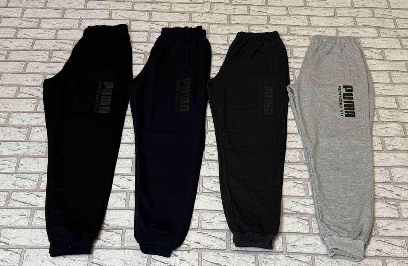 Штаны спорт Essa (50-58) E1406 navy (деми)