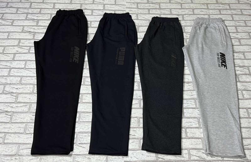 Штаны спорт Essa (50-58) E1409 black (деми)