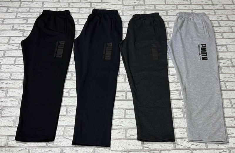 Штаны спорт Essa (50-58) E1415 grey (деми)