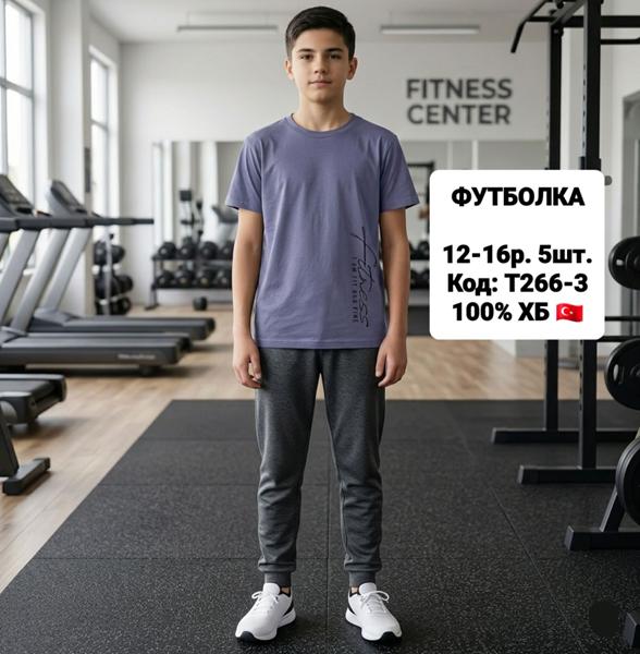 Футболка iBamBino (152-176) T266-3 grey (лето)