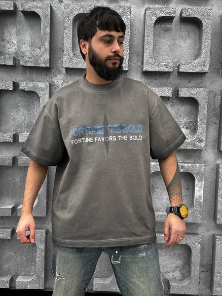 Футболка Balami (M-3XL) BL206 grey (лето)