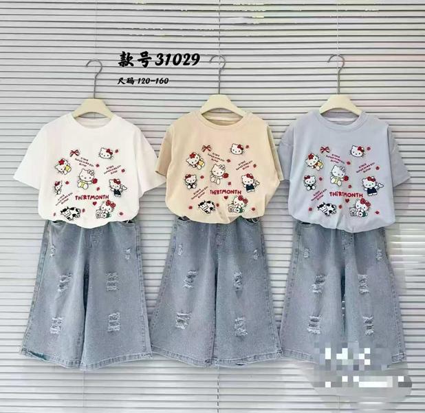 Костюм Delfinka (120-160) 31029 grey (лето)