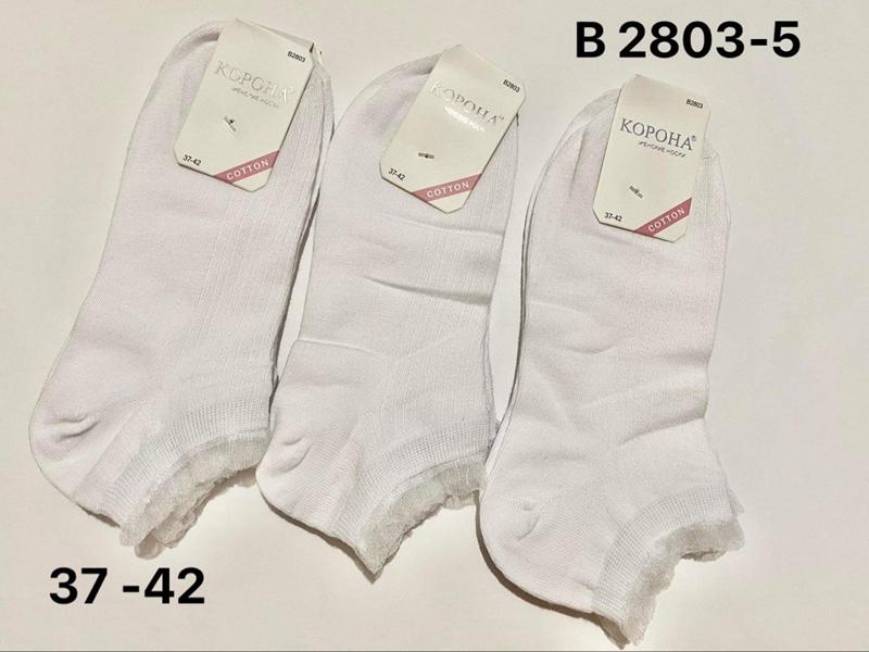 Носки Redoor (37-42) B2803-5 white (деми)