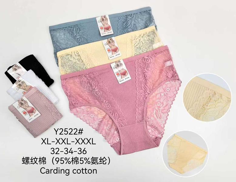 Трусы Redoor (XL-3XL) Y2522 mix (лето)