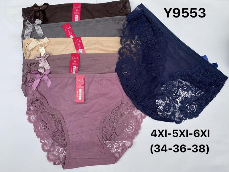 Трусы Redoor (4XL-6XL) Y9553 mix (лето)