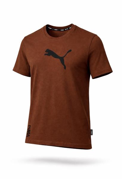 Футболка Alex Clothes (S-2XL) 14418 brown (лето)