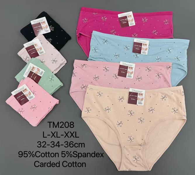 Трусы Annet (L-2XL) TR208 mix (лето)