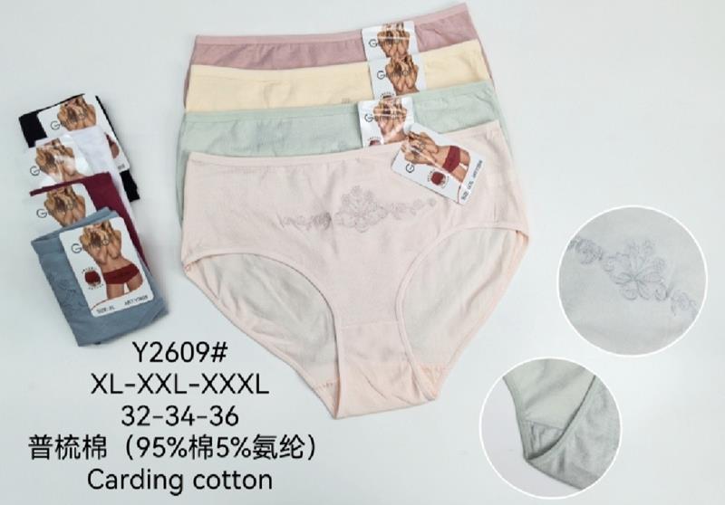 Трусы Annet (XL-3XL) TR2609 mix (лето)