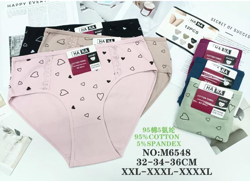 Трусы Annet (2XL-4XL) TR6548 mix (лето)