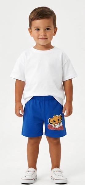 Шорты Malibu2 (1-4) 18175-1 l.blue (лето)