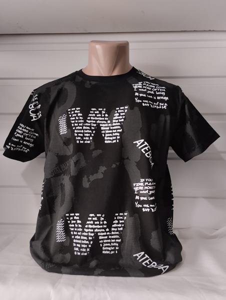 Футболка Panda (S-2XL) 1865 black (лето)