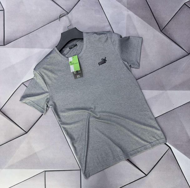 Футболка Rassul (S-2XL) 67278 grey (лето)