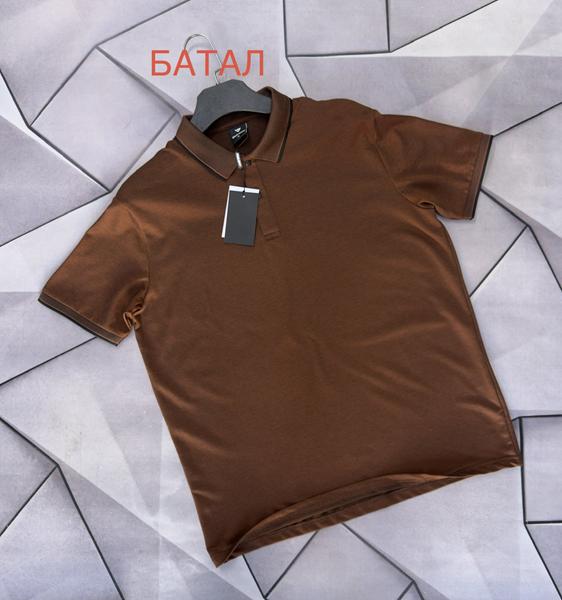 Футболка Rassul (XL-5XL) 67134 brown (лето)