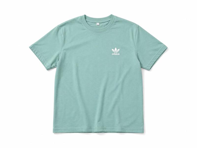 Футболка Zalov (S-2XL) ZW1718 mint (лето)