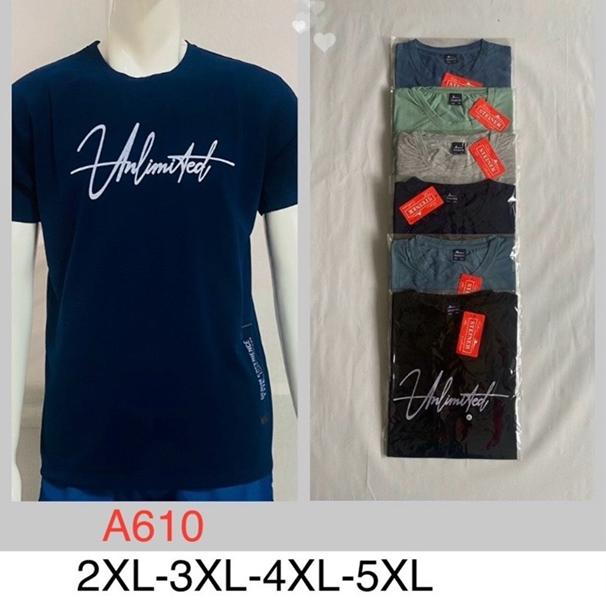 Футболка Ayden (2XL-5XL) A610 mix (лето)