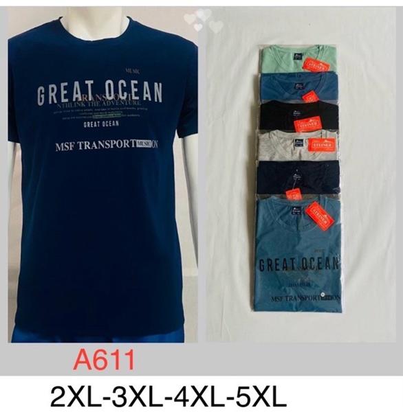 Футболка Ayden (2XL-5XL) A611 mix (лето)