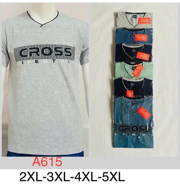 Футболка Ayden (2XL-5XL) A615 mix (лето)